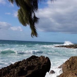 Meet your Posher, Posh